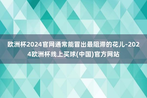 欧洲杯2024官网通常能冒出最阻滞的花儿-2024欧洲杯线上买球(中国)官方网站