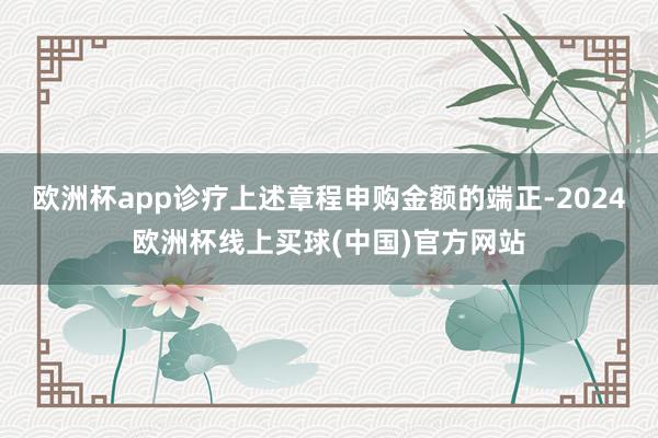 欧洲杯app诊疗上述章程申购金额的端正-2024欧洲杯线上买球(中国)官方网站