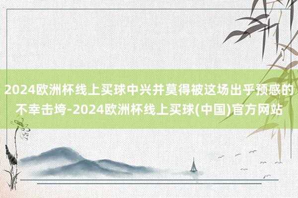 2024欧洲杯线上买球中兴并莫得被这场出乎预感的不幸击垮-2024欧洲杯线上买球(中国)官方网站