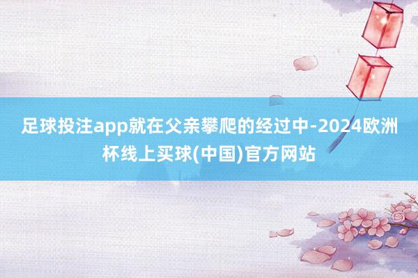 足球投注app就在父亲攀爬的经过中-2024欧洲杯线上买球(中国)官方网站