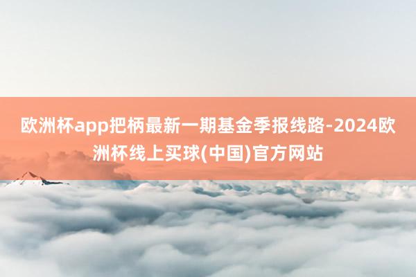 欧洲杯app把柄最新一期基金季报线路-2024欧洲杯线上买球(中国)官方网站