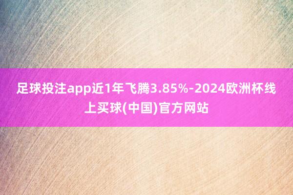 足球投注app近1年飞腾3.85%-2024欧洲杯线上买球(中国)官方网站