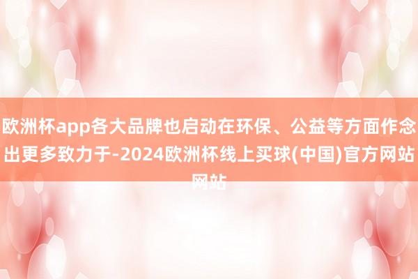 欧洲杯app各大品牌也启动在环保、公益等方面作念出更多致力于-2024欧洲杯线上买球(中国)官方网站