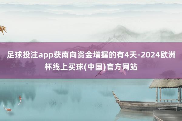 足球投注app获南向资金增握的有4天-2024欧洲杯线上买球(中国)官方网站