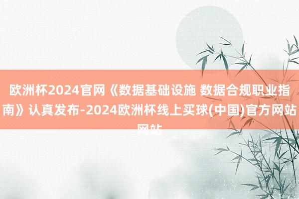 欧洲杯2024官网《数据基础设施 数据合规职业指南》认真发布-2024欧洲杯线上买球(中国)官方网站