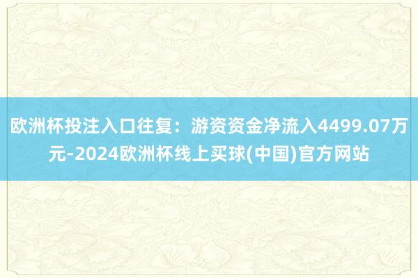 欧洲杯投注入口往复：游资资金净流入4499.07万元-2024欧洲杯线上买球(中国)官方网站