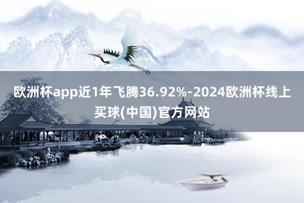 欧洲杯app近1年飞腾36.92%-2024欧洲杯线上买球(中国)官方网站