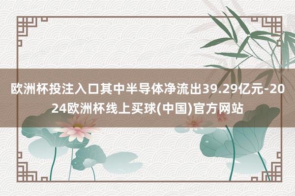 欧洲杯投注入口其中半导体净流出39.29亿元-2024欧洲杯线上买球(中国)官方网站
