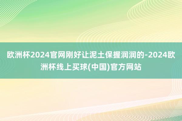 欧洲杯2024官网刚好让泥土保握润润的-2024欧洲杯线上买球(中国)官方网站