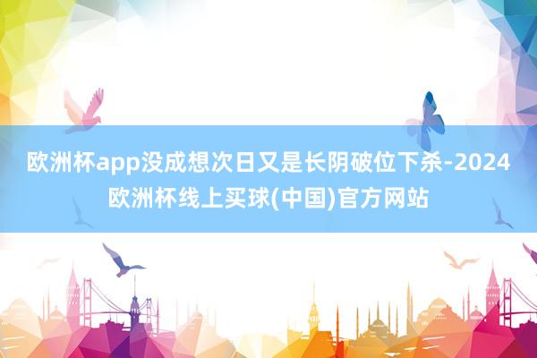 欧洲杯app没成想次日又是长阴破位下杀-2024欧洲杯线上买球(中国)官方网站