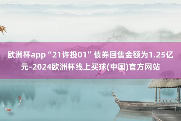 欧洲杯app“21许投01”债券回售金额为1.25亿元-2024欧洲杯线上买球(中国)官方网站