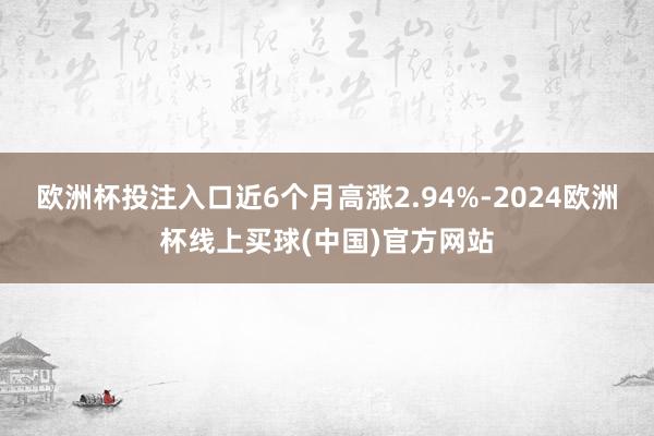 欧洲杯投注入口近6个月高涨2.94%-2024欧洲杯线上买球(中国)官方网站