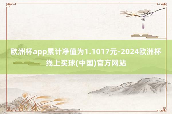 欧洲杯app累计净值为1.1017元-2024欧洲杯线上买球(中国)官方网站