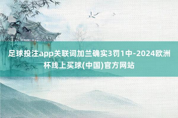 足球投注app关联词加兰确实3罚1中-2024欧洲杯线上买球(中国)官方网站