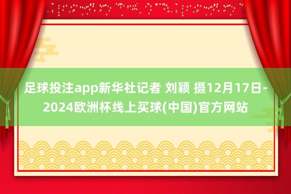 足球投注app　　新华社记者 刘颖 摄　　12月17日-2024欧洲杯线上买球(中国)官方网站