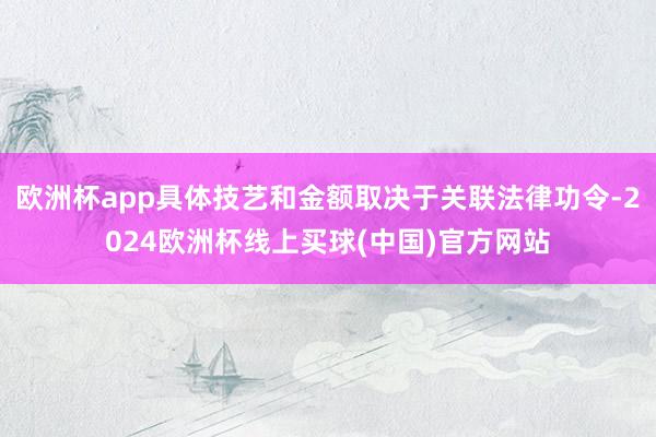 欧洲杯app具体技艺和金额取决于关联法律功令-2024欧洲杯线上买球(中国)官方网站