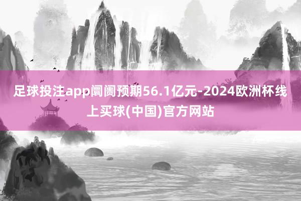 足球投注app阛阓预期56.1亿元-2024欧洲杯线上买球(中国)官方网站