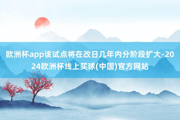 欧洲杯app该试点将在改日几年内分阶段扩大-2024欧洲杯线上买球(中国)官方网站