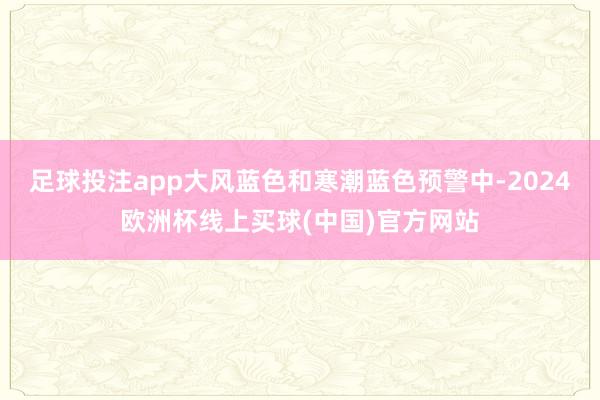 足球投注app大风蓝色和寒潮蓝色预警中-2024欧洲杯线上买球(中国)官方网站
