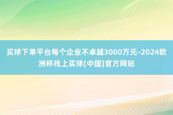 买球下单平台每个企业不卓越3000万元-2024欧洲杯线上买球(中国)官方网站