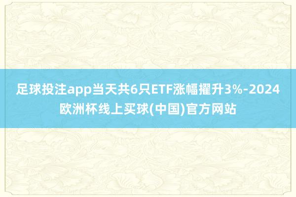 足球投注app当天共6只ETF涨幅擢升3%-2024欧洲杯线上买球(中国)官方网站