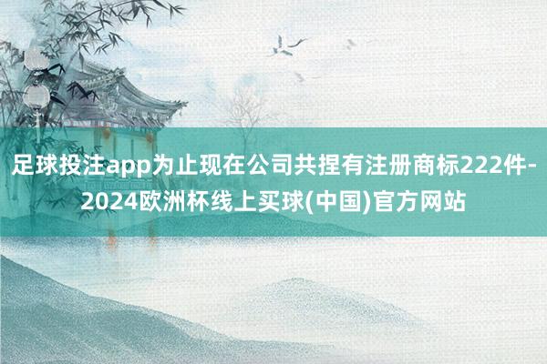 足球投注app为止现在公司共捏有注册商标222件-2024欧洲杯线上买球(中国)官方网站