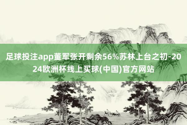 足球投注app董军张开剩余56%苏林上台之初-2024欧洲杯线上买球(中国)官方网站