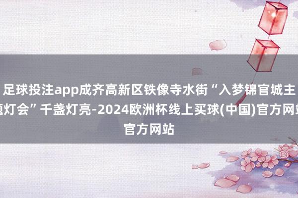 足球投注app成齐高新区铁像寺水街“入梦锦官城主题灯会”千盏灯亮-2024欧洲杯线上买球(中国)官方网站