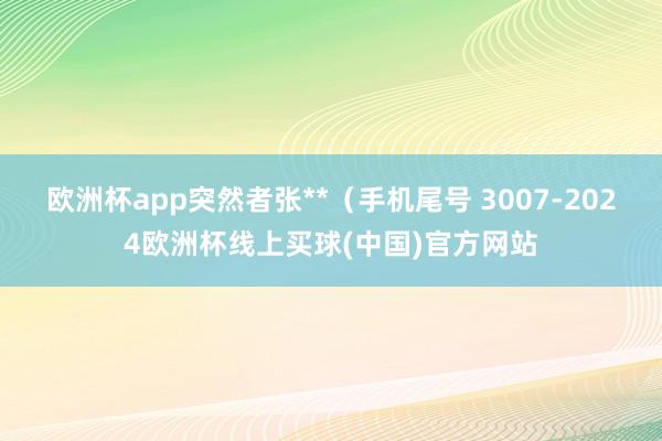 欧洲杯app突然者张**(手机尾号 3007-2024欧洲杯线上买球(中国)官方网站