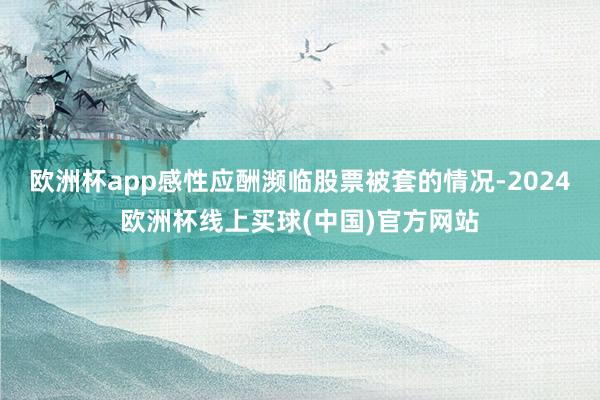 欧洲杯app感性应酬濒临股票被套的情况-2024欧洲杯线上买球(中国)官方网站