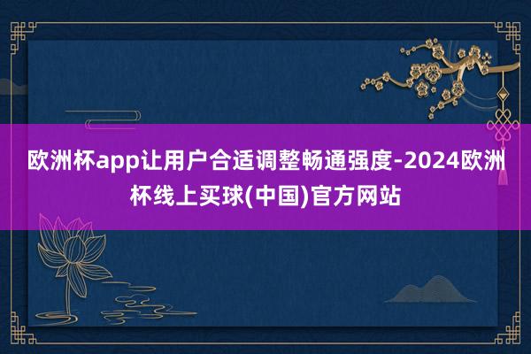 欧洲杯app让用户合适调整畅通强度-2024欧洲杯线上买球(中国)官方网站