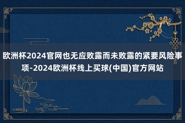 欧洲杯2024官网也无应败露而未败露的紧要风险事项-2024欧洲杯线上买球(中国)官方网站