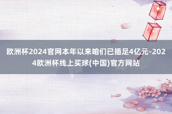 欧洲杯2024官网本年以来咱们已插足4亿元-2024欧洲杯线上买球(中国)官方网站