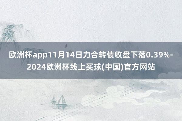 欧洲杯app11月14日力合转债收盘下落0.39%-2024欧洲杯线上买球(中国)官方网站