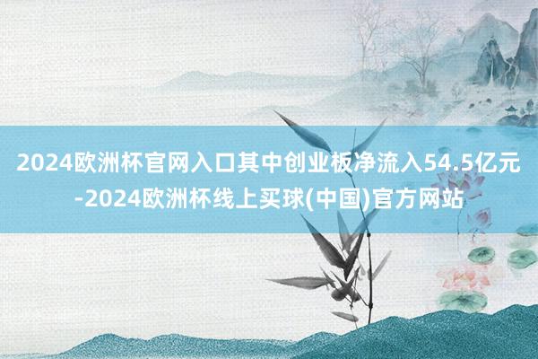2024欧洲杯官网入口其中创业板净流入54.5亿元-2024欧洲杯线上买球(中国)官方网站