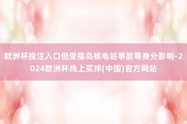 欧洲杯投注入口但受福岛核电站事故等身分影响-2024欧洲杯线上买球(中国)官方网站