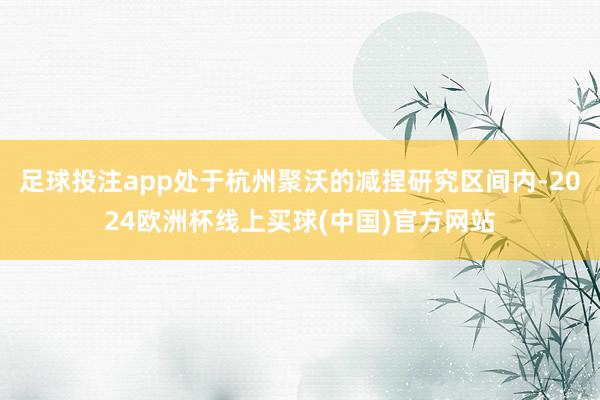 足球投注app处于杭州聚沃的减捏研究区间内-2024欧洲杯线上买球(中国)官方网站