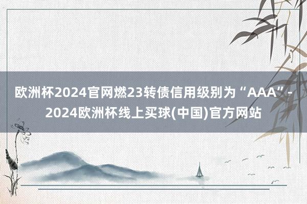 欧洲杯2024官网燃23转债信用级别为“AAA”-2024欧洲杯线上买球(中国)官方网站