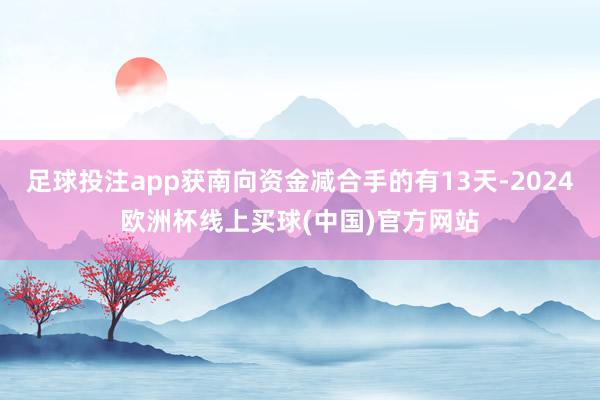 足球投注app获南向资金减合手的有13天-2024欧洲杯线上买球(中国)官方网站